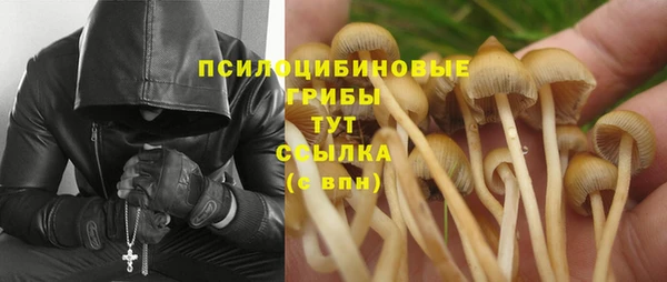 прущая мука Алексин