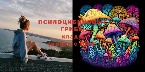 кокс Аркадак