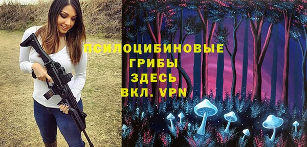 кокс Арсеньев