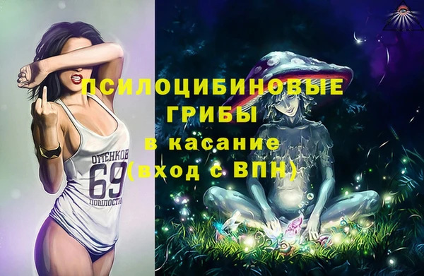 кокс Арсеньев