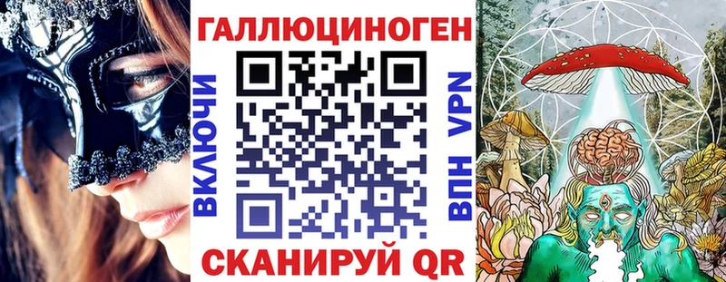 как найти закладки Дорогобуж Псилоцибиновые грибы GOLDEN TEACHER