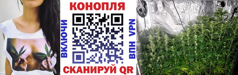 МАРИХУАНА план  купить наркотик  ОМГ ОМГ ссылка  Дорогобуж 